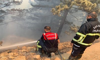 Türkiye’de orman yangınlarıyla mücadele sürüyor