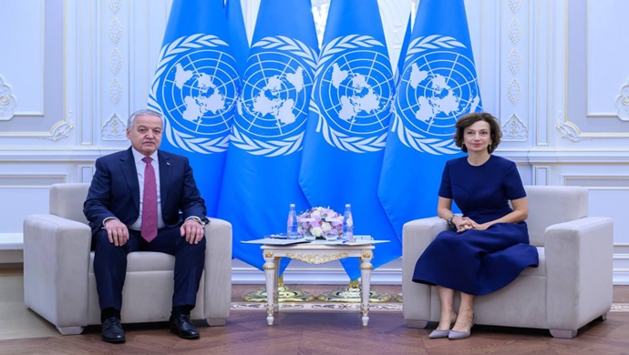 Meeting of the Minister of Foreign Affairs with the Director-General of UNESCO